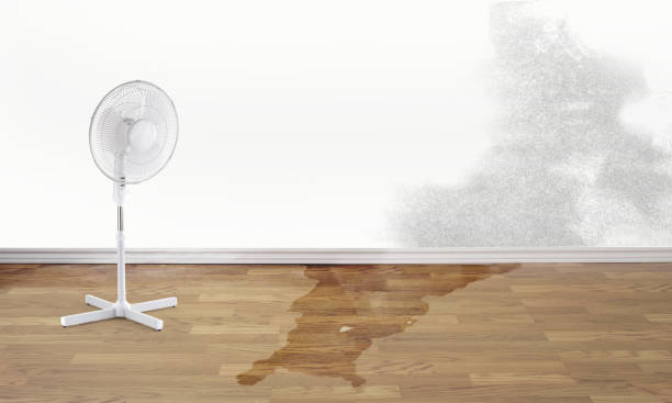 Best Flooded house restoration  in Cairo, IL