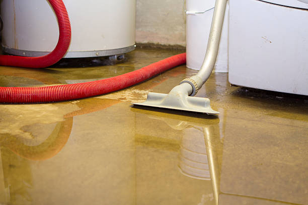 Best Water damage cleanup near me  in Cairo, IL