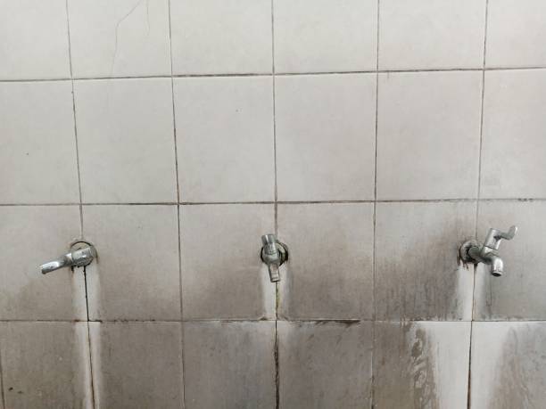 Best Flood damage cleanup  in Cairo, IL