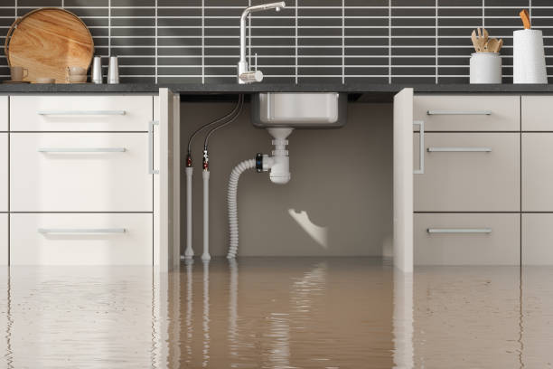  Cairo, IL Water damage restoration Pros