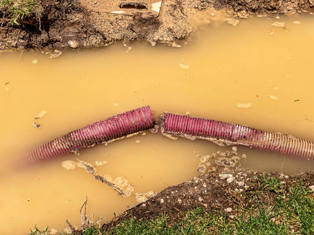 Carpet water damage restoration in IL